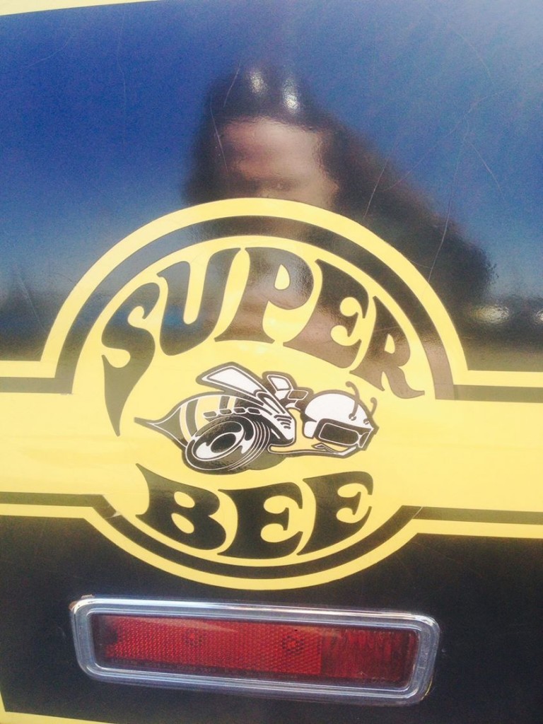 Super Bee Photograph by Whitey Kirst