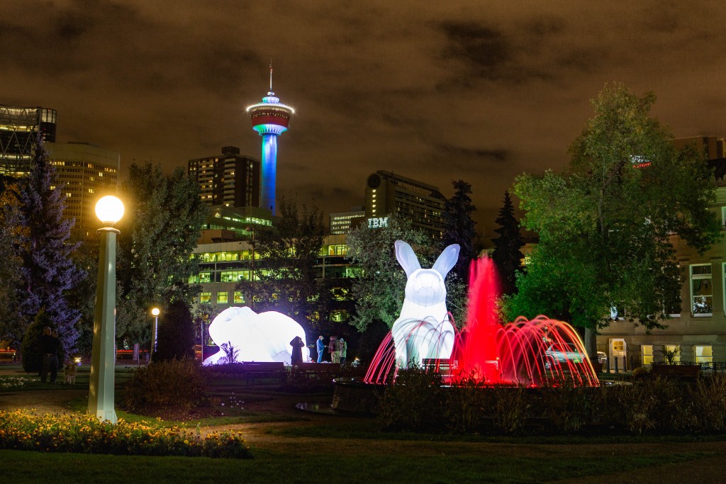 Giant inflatable rabbits taking over our town.